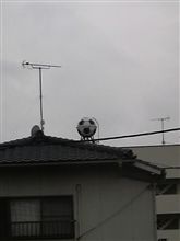 サッカーボール