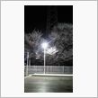 ２月も終わり…