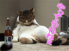 今日だけは・・・・許してもらえますか凹 今日だけは・・・・許してもらえますか凹