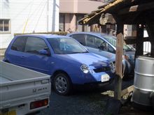ルポ登場