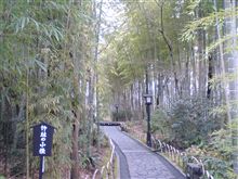 今日は温泉でまったり