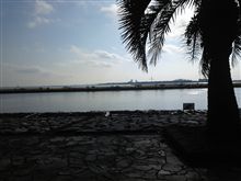 今日の散策。 今日の散策。