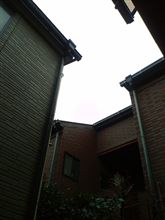 曇っていて寒い…時差でヌクヌク(&#180;▽｀) ホッ
