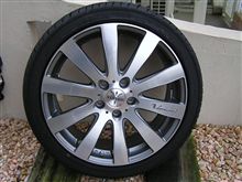 COSMIC VENERDI Variant　18inch