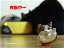 衝動買い。