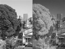 赤外写真を撮影して遊んでみました