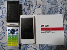 買っちゃった～