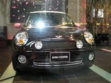 MINI meets SAKURA.