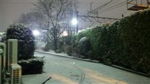雪が降ってますねぇ…