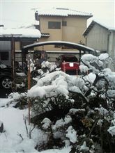 今年はよくいらっしゃる
