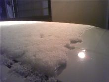 雪積もりましたね～・・・ 