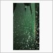 雪ﾔﾊﾞｽ(--;)