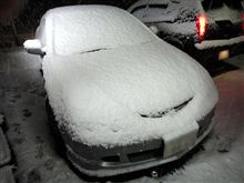 ここにきてまさかの大雪　in　栃木