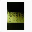 昨日は、爆睡