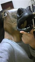 馬を買いました（笑）