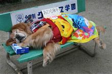 気持ち良さそう！！笑