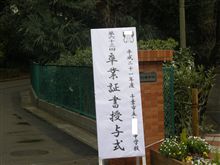 と言う訳で…
