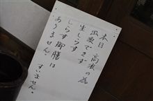 生しらす偵察。