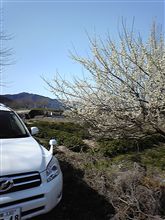 燃費記録を更新しました！