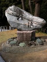 お受験、一応終了です。