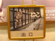 「ねこ」　岩合光昭　写真展