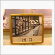 「ねこ」　岩合光昭　写真展