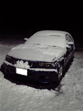 今年最後の雪だったのかな？