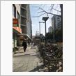 桜通り