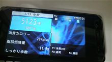 １日の歩行数