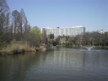 超～久々に井の頭公園でブラリ散歩