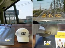 ねこさんなのですよ。みぃ~♪ ねこさんなのですよ。みぃ~♪