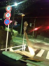 暴風!突風!ひらひら? 暴風!突風!ひらひら?