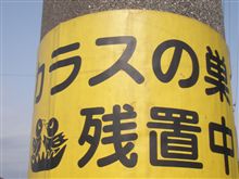 Nジャン家、電信柱伝説！？