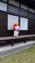 ひこにゃん ｷﾀｰ 