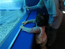 夜の水族館