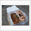 広島たこ焼きオフ(・∀・)