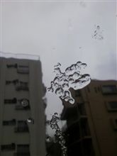 ちょ、おまｗｗｗ