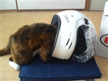 ネタが無いので、意味の無い画像・・・