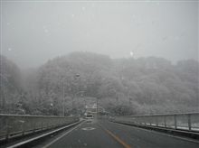 やはりか、、