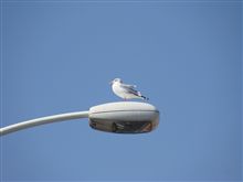 気持ちよさそう～