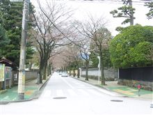 来週ぐらいかなー