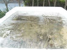 4月を目の前に・・・☆。：゜(；&#180;∩｀；)゜：。 