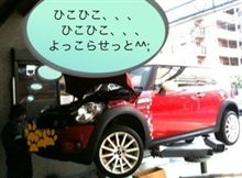 何やらかわいこちゃんの、、、