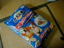替えてみる。 替えてみる。