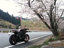 バイクの日  