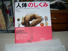 描き直してみた。