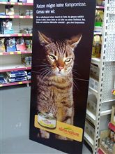 猫ショップの看板。