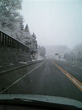朝から雪が