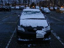 いきなり雪ですよ！
