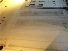 マジ?ですか? マジ?ですか?